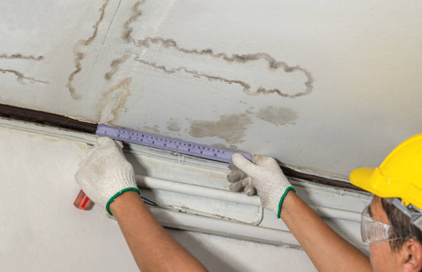 Reliable Mold Remediation contractor in Clinton, UT by Water Damage Irwin